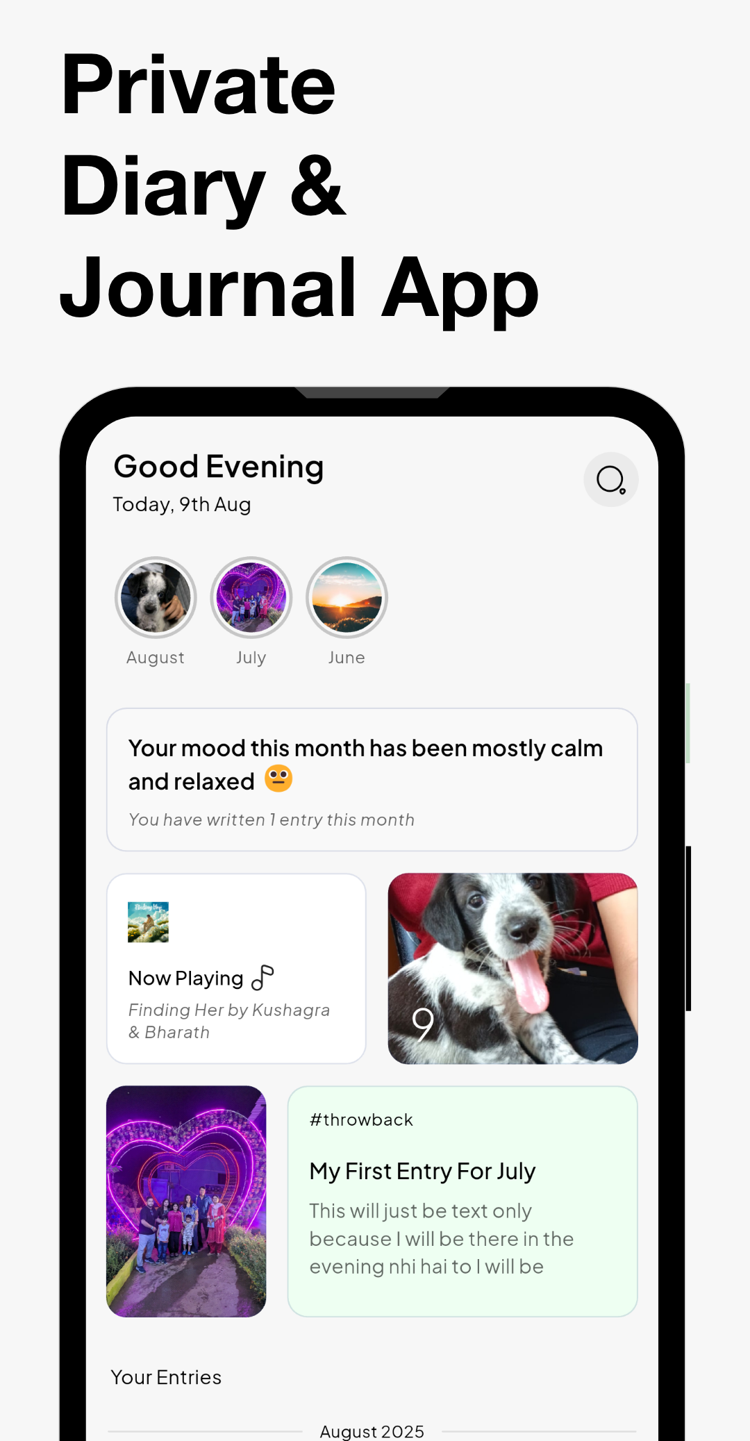 DiaryIt screenshot 1